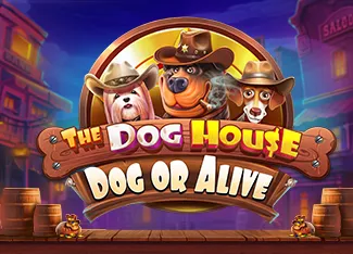 Pragmatic : The Dog House - Dog or Alive - SPINBET123