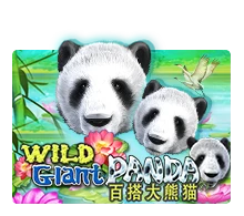 Joker123 : Wild Giant Panda - SPINBET123