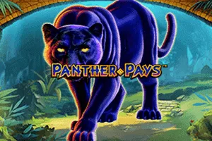 Panther Pays - SPINBET123