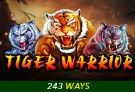 Tiger Warrior - SPINBET123