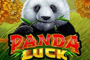 Panda Luck - SPINBET123